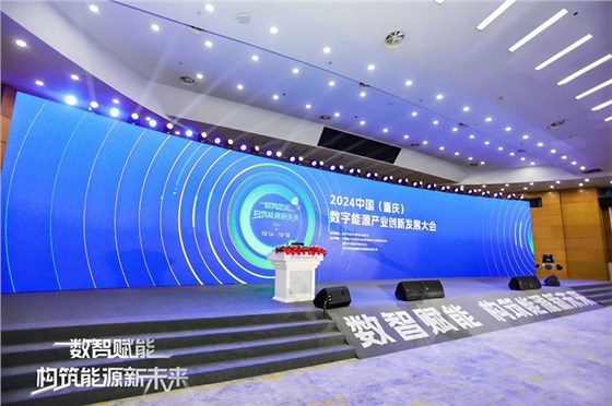 中國(guó)（重慶）數(shù)字能源產(chǎn)業(yè)創(chuàng)新發(fā)展大會(huì) (11)