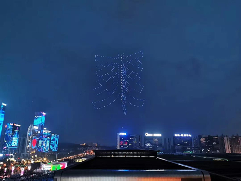 2019數(shù)博會(huì)會(huì)展服務(wù) (36)